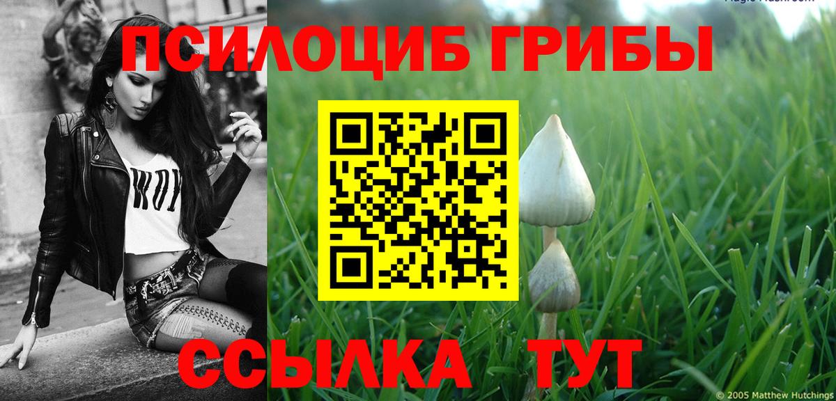 Галлюциногенные грибы MAGIC MUSHROOMS  Галлюциногенные грибы мухоморы  Десногорск  Вход с VPN 